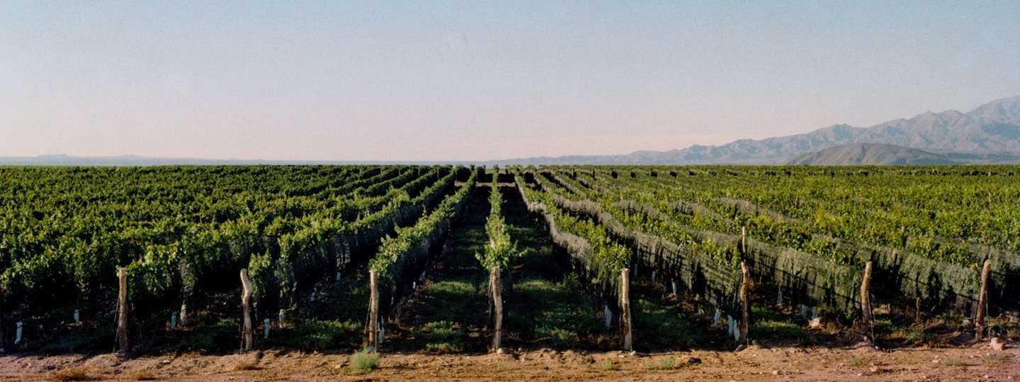 Paraje Altamira - Finca Suarez